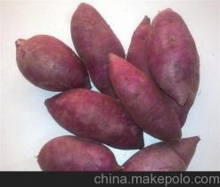 大理州紫薯種植基地銷售廠家價格供應(yīng)商詳解——冠縣樂農(nóng)紫薯種植專業(yè)合作社