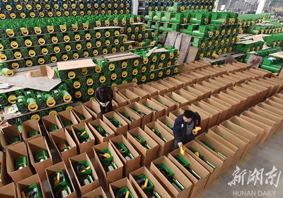 備戰(zhàn)雙十一，薯類產(chǎn)品銷售攻略