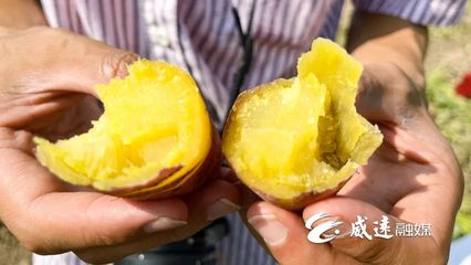 1元1斤！線上線下銷售火！威遠秋季美味火爆上市！