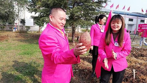 后疫情時代，薯類食品如何成為健康餐桌的“常駐嘉賓”？